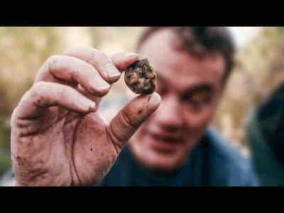 cheeseandonion - #zzy #trufle