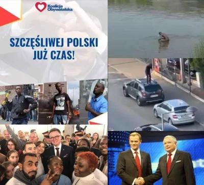 ziuaxa - POPiS = przyjmowanie nielegalnych imigrantów