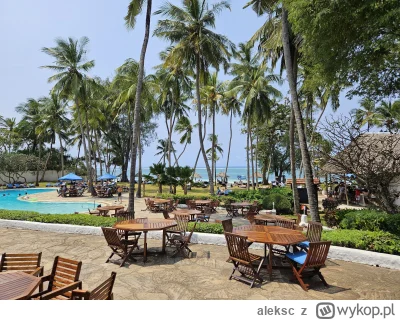 aleksc - @pejotlsd chwila relaksu w kenii a nie w jakiejs europie