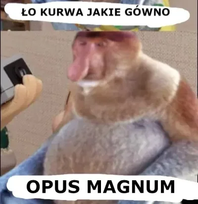 pawello321 - @rekinwskarpetce: