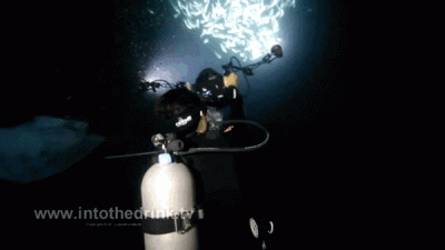 wfyokyga - Latarke mu z-----ł złodziei xddt