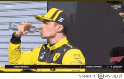 SosieX - ( ͡° ͜ʖ ͡°)
#f1