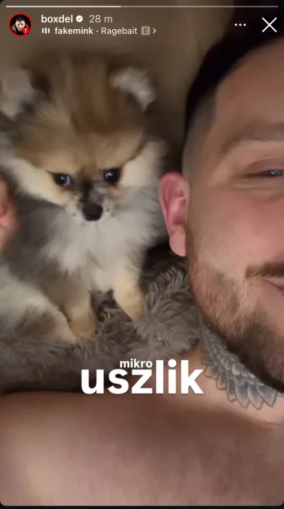 bekakshh - #famemma dziwny ten ulfik