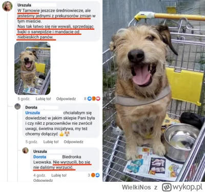 WielkiNos - @ATAT-2 tak to jest jak się psy traktuje jak dzieci. Tu się baba wepchnęł...