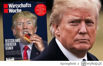 Springfield - Szkoda że niemiecki agent jest premierem polski, moim marzeniem jest so...