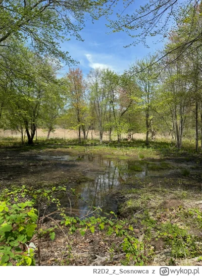 R2D2zSosnowca - @R2D2zSosnowca V