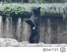 bar125 - Niedzwiedz kręci korbą dzisiaj
#gielda