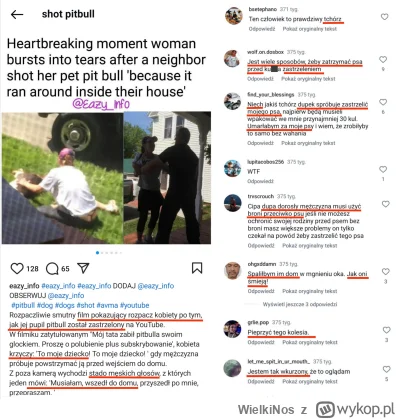 WielkiNos - @motonita to jeszcze przypomnę tą historię. Facet zastrzelił pitbulla, kt...