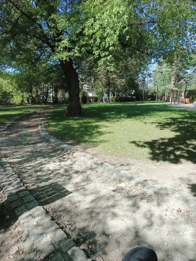 CocoaGrower - Ostatni ładny dzień przesiedziałem głównie w domu. Tylko do frog shopa ...