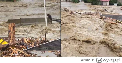 ernix - W jaki sposób pies przeżył skoro widać na filmie u Bożenki, że woda porwała p...