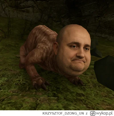 KRZYSZTOFDZONGUN - @bylem_simpem plus = mela na pysk tego spella