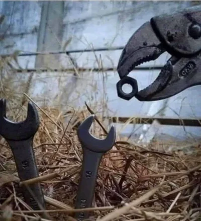 szatanEK666 - @cheeseandonion: