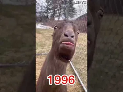 Moczymorda77 - #komputery Fajny symulator kozy.
https://luna.amazon.pl/game/goat-simu...