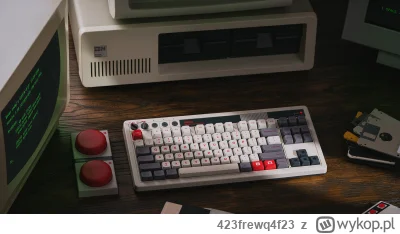 423frewq4f23 - Chłopu podobają się takie rzeczy stylizowane na retro. 8bitdo to w ogó...