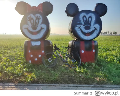 Summar - + zdjęcie bolida