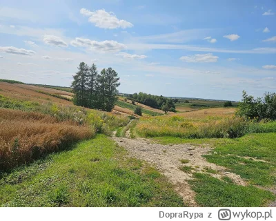 DopraRypa - 251 329 + 222 = 251 551

Urlopowego zbierania kwadratów ciąg dalszy.

T...