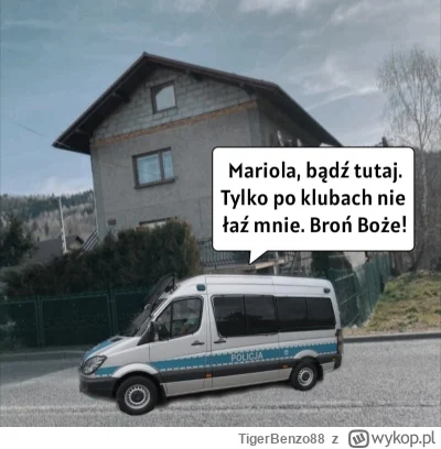 TigerBenzo88 - #kononowicz #szkolna17 #patostreamy