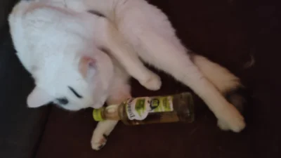 essla - Ledwo się obudził i już do butli