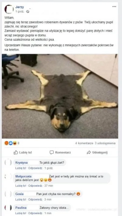 Halski-patrol - #zawszesmieszy #psy #psiarze