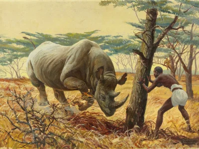 wfyokyga - Mudżyn się bawi z nosorożcem