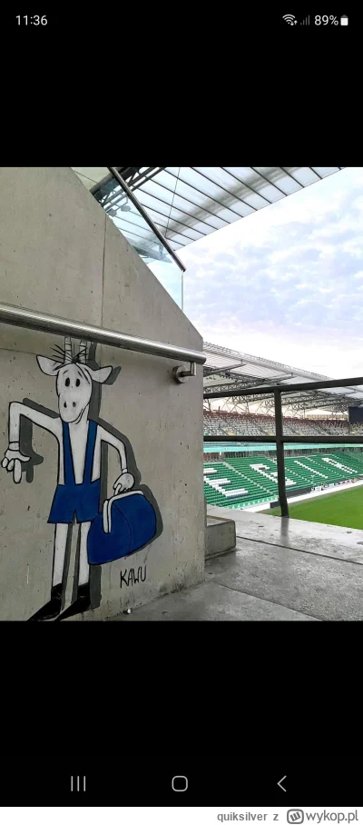 quiksilver - Kawu na Żylecie xD #legia #lechpoznan #mecz #kibice