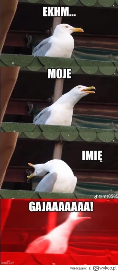 wielkanoc - #eurowizja