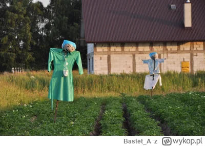 Bastet_A - #fotografia #mojezdjecie #tworczoscwlasna