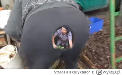 StarosielskiDyktator - #kononowicz #patostreamy