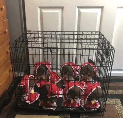 Nooleus - dla plusy i wypuszczam zarazę