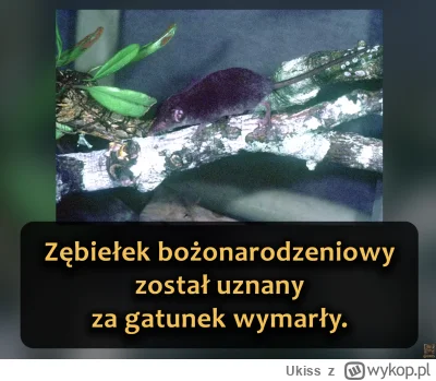 Ukiss - Po wieloletnich poszukiwaniach i badaniach, w zeszłym miesiącu Międzynarodowa...