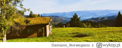Damiano_Norwegiano - Jeżeli ktoś chce odpocząć z dala od ludzi, za to blisko lasu, z ...
