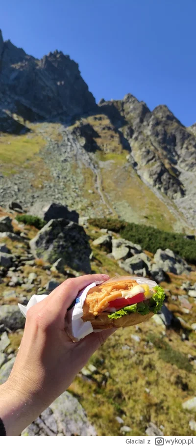 Glacial - Nie jest tak źle. Jestem pewien że chodzę po naszych górach trochę więcej n...