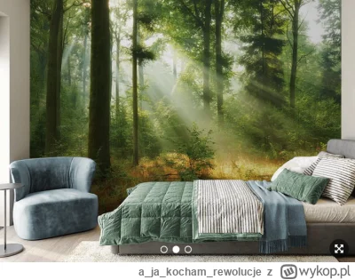 ajakocham_rewolucje - @PodniebnyMurzyn: fototapeta ( ͡º ͜ʖ͡º)