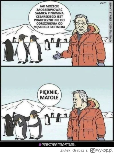 Ziutek_Grabaz - Ulubiony