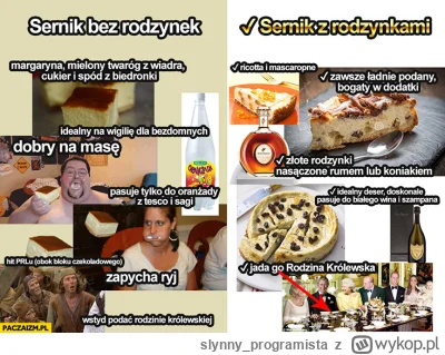 slynny_programista