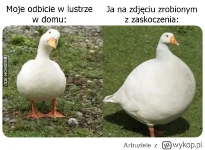 Arbuzlele - #heheszki #humorobrazkowy