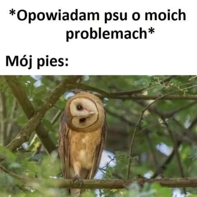 Piotrek7231 - #heheszki