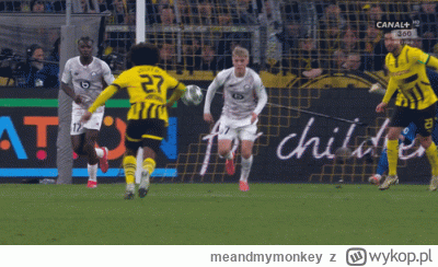 meandmymonkey - #keeshchak