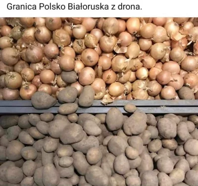pogop - Granica pomiędzy Polską a Białorusią - warzywniakowane.

#heheszki #humorobra...