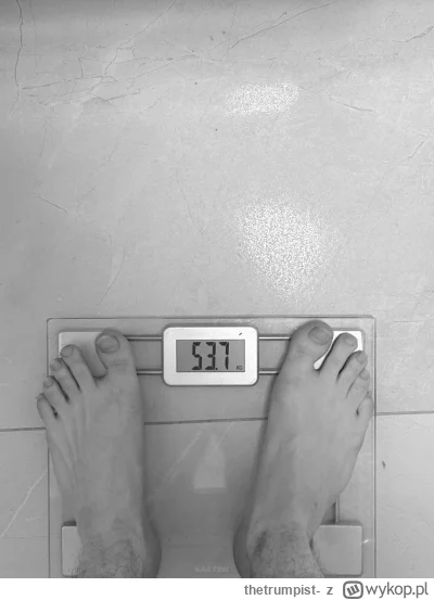 thetrumpist- - chłop typu waga kogucia 

#przegryw #mikrokoksy #pokazstopy