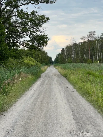 krabozwierz - Szuterki premium!