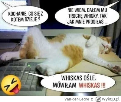 Van-der-Ledre - Jamesona mu daj, jamesona..

#przegryw