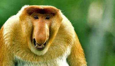 kingcel - Klej do bloczków ytonga najlepiej rozrób z topexem
Wcale nie po to by było ...