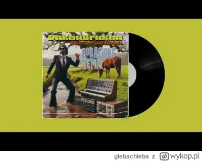 glebachleba - dakhabrakha ale to eurodisco 1978/1982