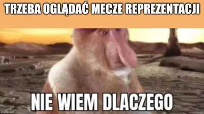 troglodyta_erudyta - #mecz