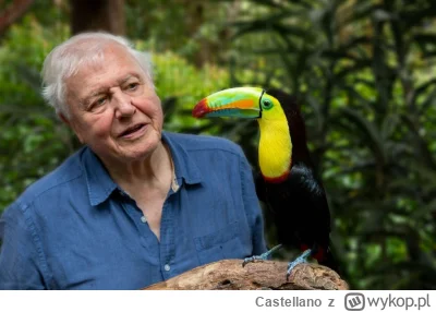 Castellano - David Attenborough - brytyjski biolog, popularyzator wiedzy przyrodnicze...