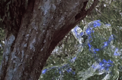 ulChabrowa984-223Linia - #limanowa