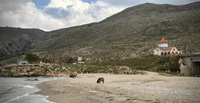 asdfghjkl - Ale piesełek pachnie morzem legancko. Szalała dziś po plaży jak opętana. ...