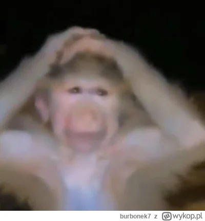 burbonek7 - Arek coś ty odjeboł

#awanturaokase