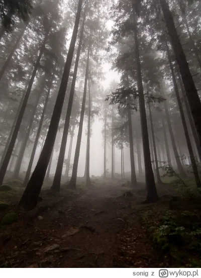 sonig - #spierdotrip #przegryw